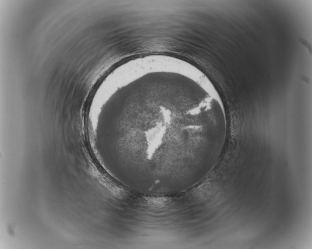 X0000103961031200810171857