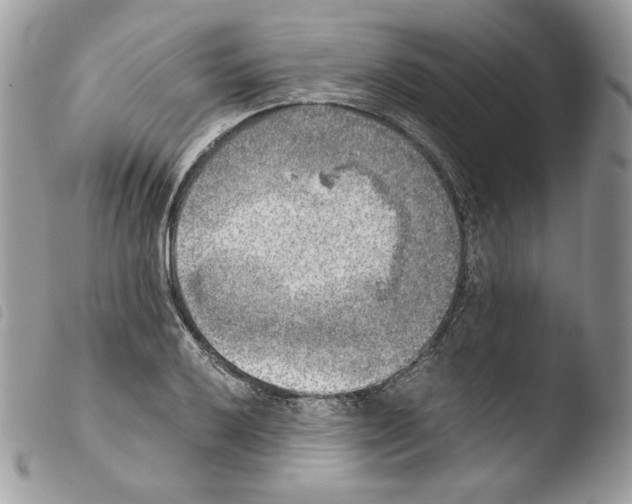 X0000103961032200810171857