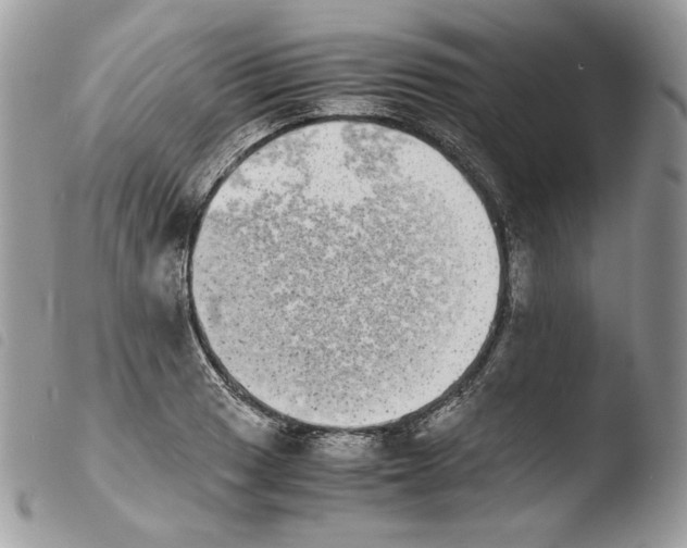 X0000103961033200810171857