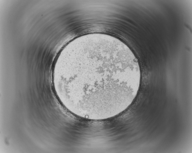 X0000103961034200810171857