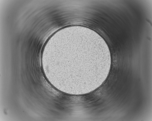 X0000103961036200810171857