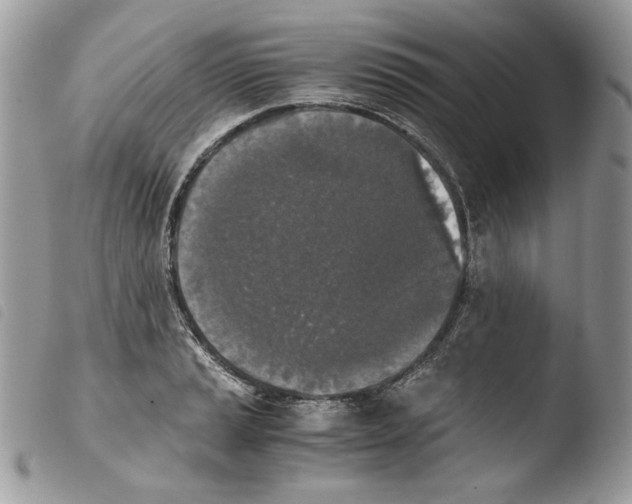 X0000103961037200810171857