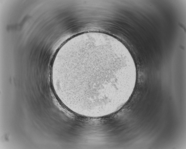 X0000103961038200810171857