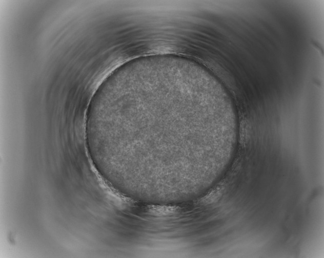 X0000103961039200810171857