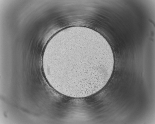 X0000103961040200810171857