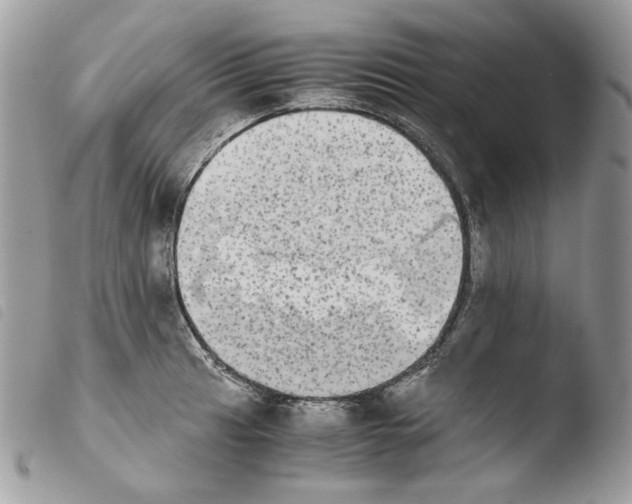 X0000103961041200810171857