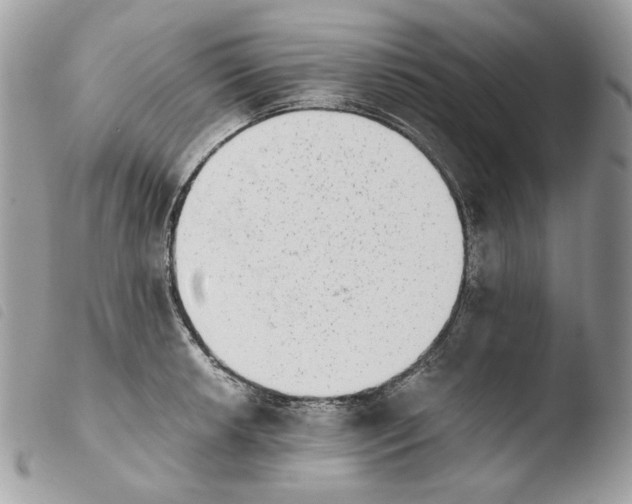 X0000103961042200810171857