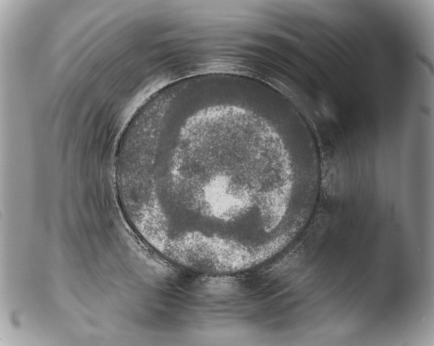 X0000103961043200810171857