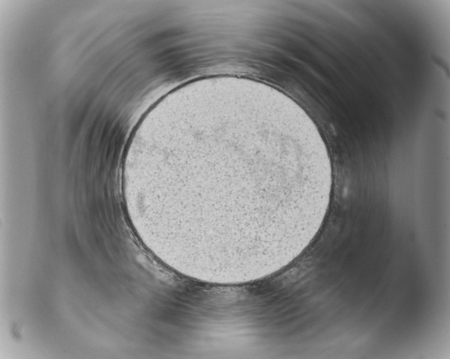 X0000103961044200810171857