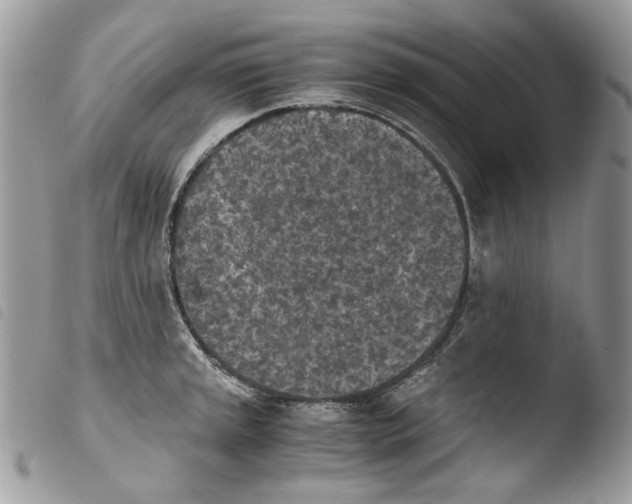 X0000103961045200810171857