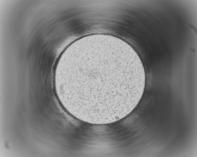 X0000103961046200810171857