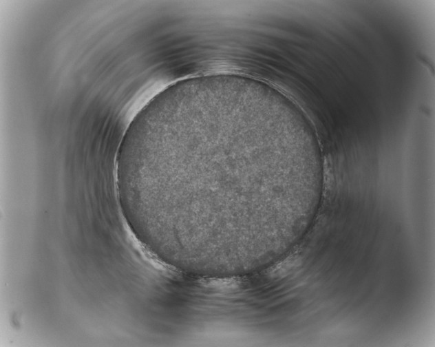 X0000103961047200810171857