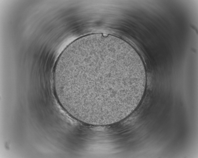 X0000103961048200810171858