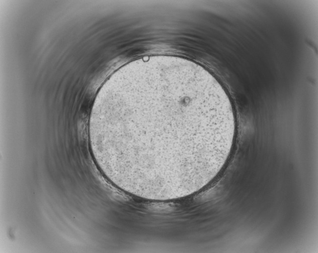 X0000103961049200810171858