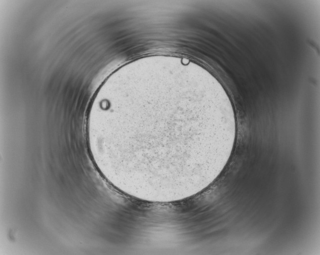 X0000103961050200810171858