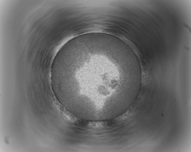 X0000103961051200810171858