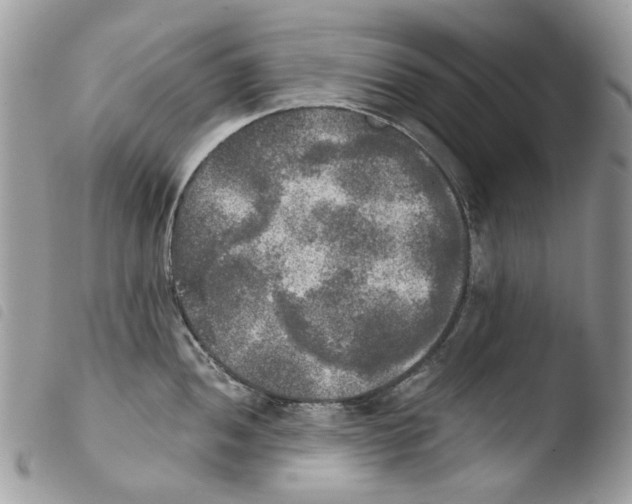 X0000103961052200810171858