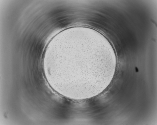 X0000103961053200810171858