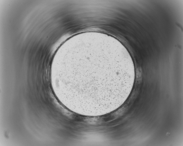 X0000103961054200810171858