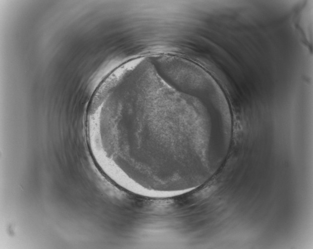 X0000103961055200810171858