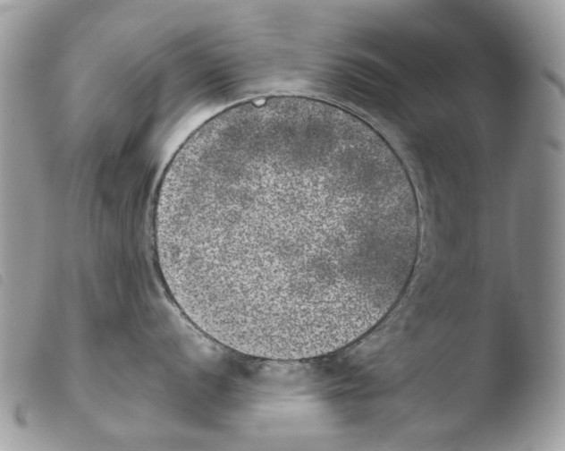 X0000103961056200810171858