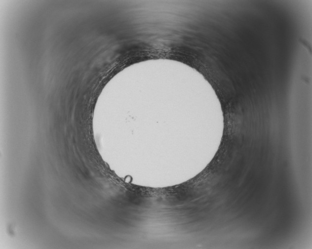 X0000103961057200810171857