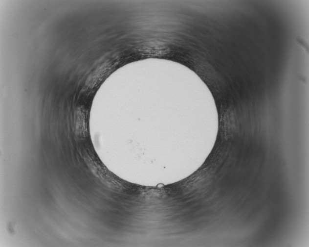 X0000103961058200810171857