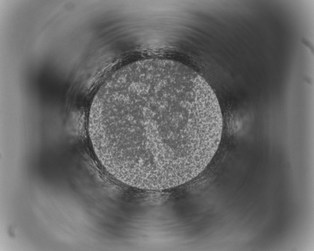 X0000103961060200810171857