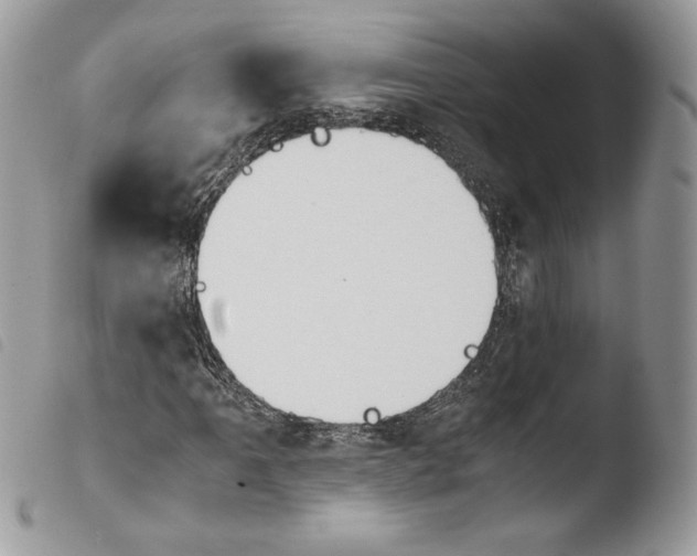 X0000103961061200810171857