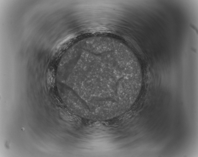 X0000103961063200810171857