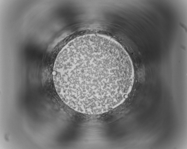 X0000103961064200810171857