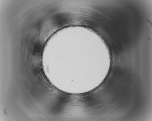 X0000103961065200810171857