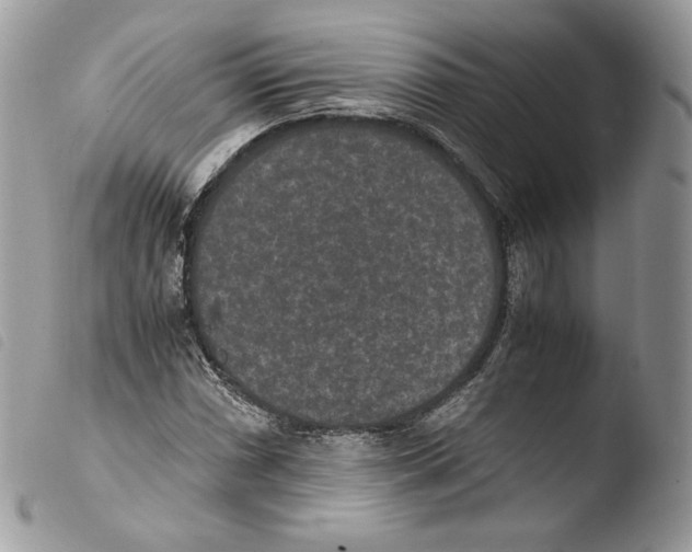 X0000103961066200810171857