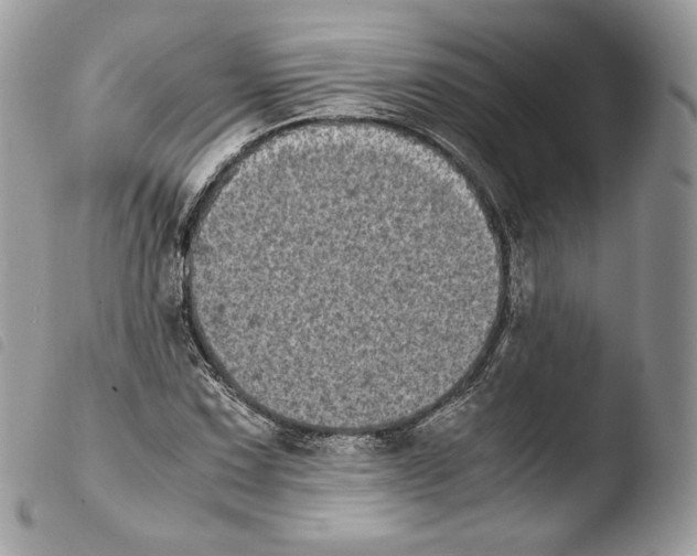 X0000103961067200810171857