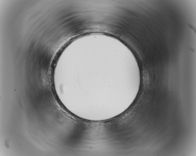 X0000103961068200810171857