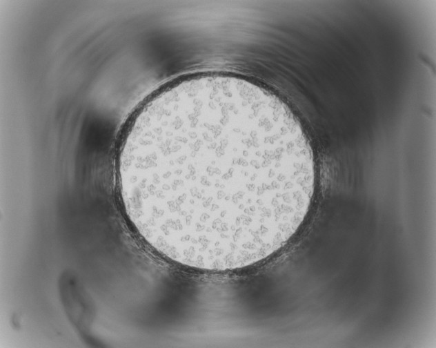 X0000103961069200810171857