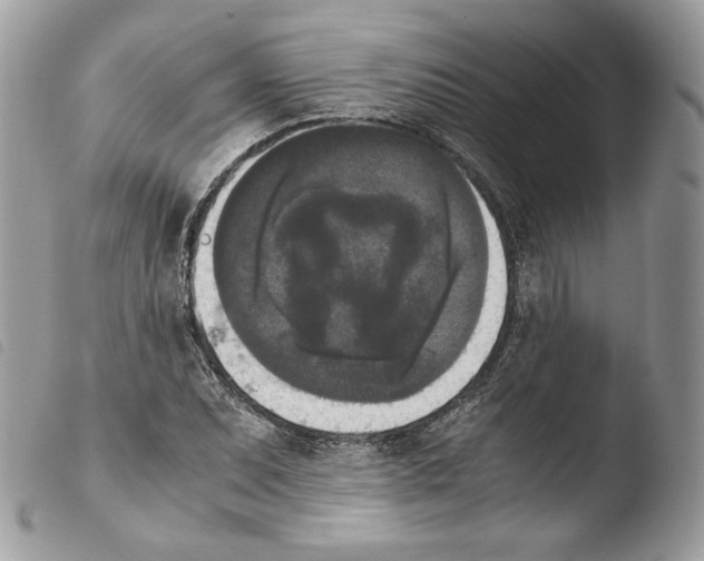 X0000103961071200810171857