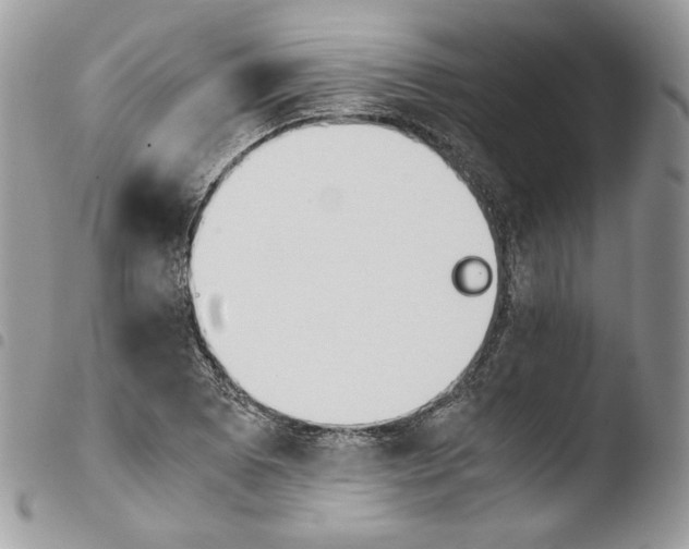 X0000103961073200810171857