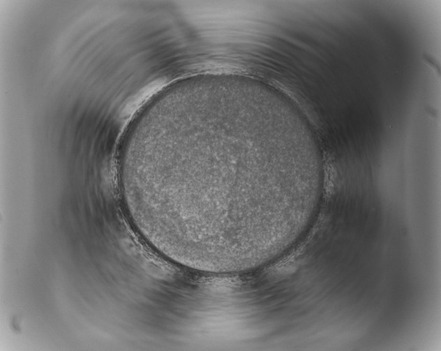 X0000103961074200810171857