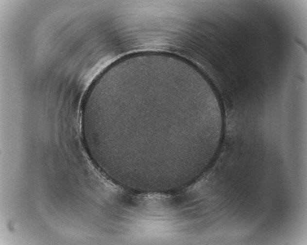 X0000103961077200810171857