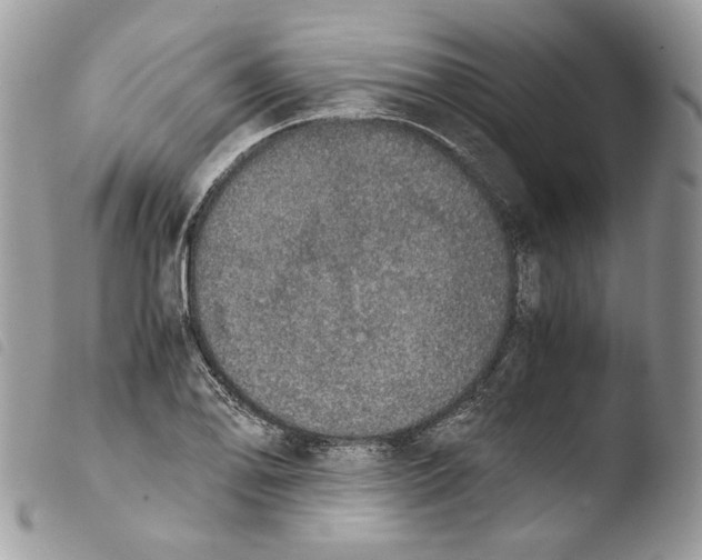 X0000103961078200810171857