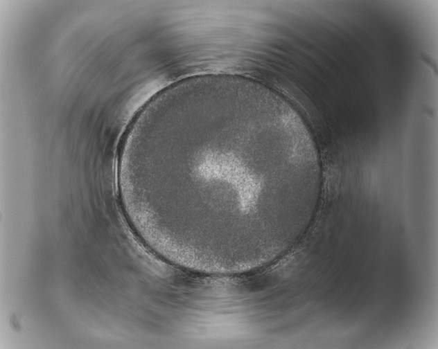 X0000103961079200810171857