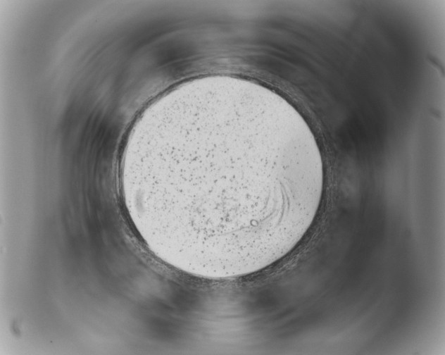 X0000103961080200810171857