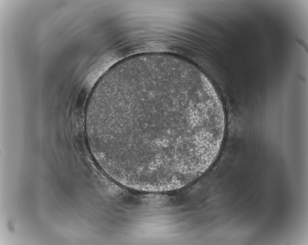 X0000103961081200810171857