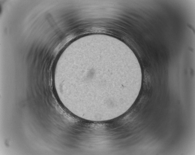 X0000103961082200810171857