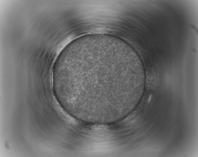 X0000103961083200810171857