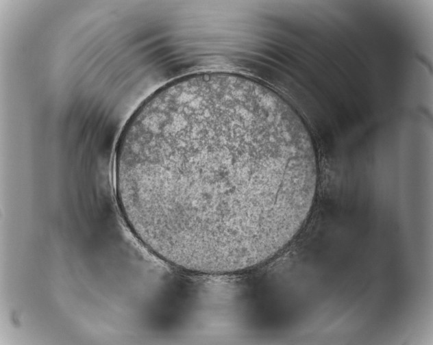 X0000103961084200810171857