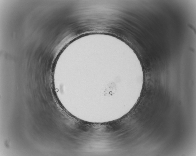 X0000103961085200810171857