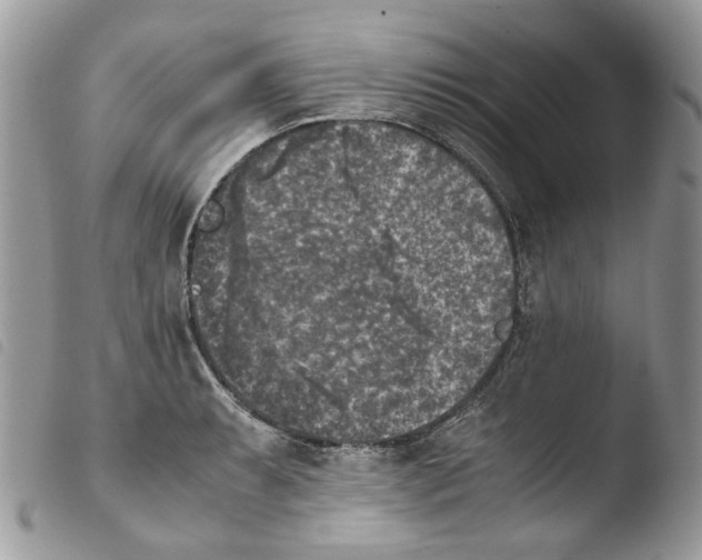 X0000103961087200810171857