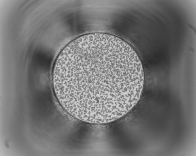 X0000103961088200810171857